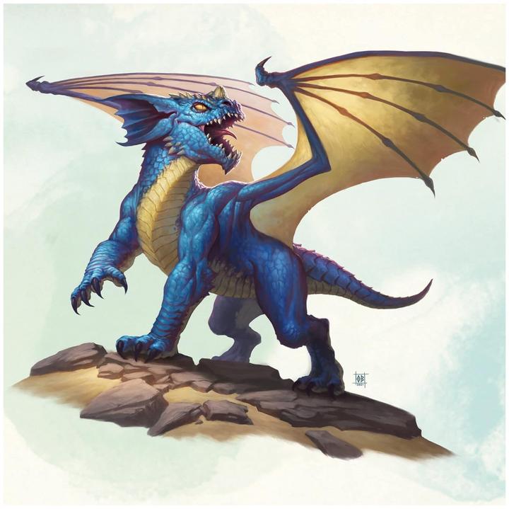 Actual product image Wizards of the Coast Dungeons & Dragons - Starter Set - English (English)