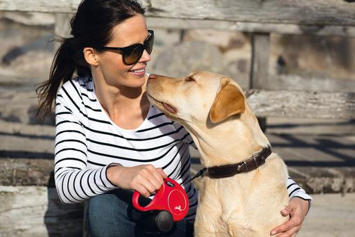 Actual product image Flexi New Classic (M, L, Dog, Walks)