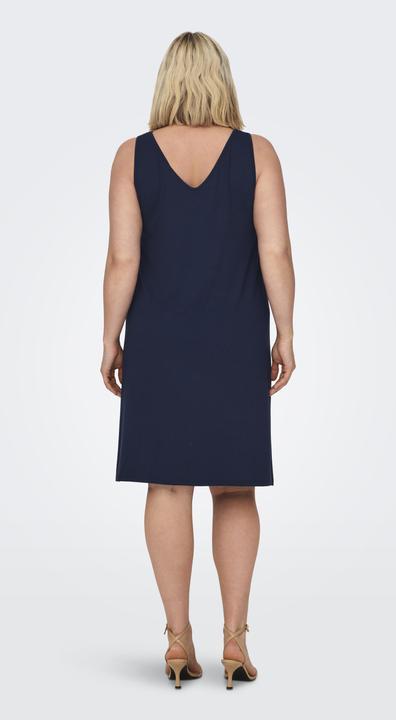 Actual product image Only A-line dress (L)