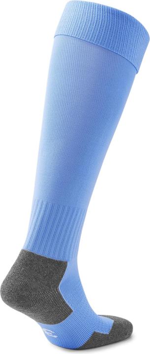Actual product image Puma Team LIGA Socks CORE-703441 (39, 42)