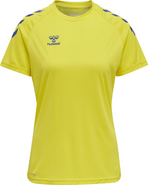 blazingyellowtrueblue