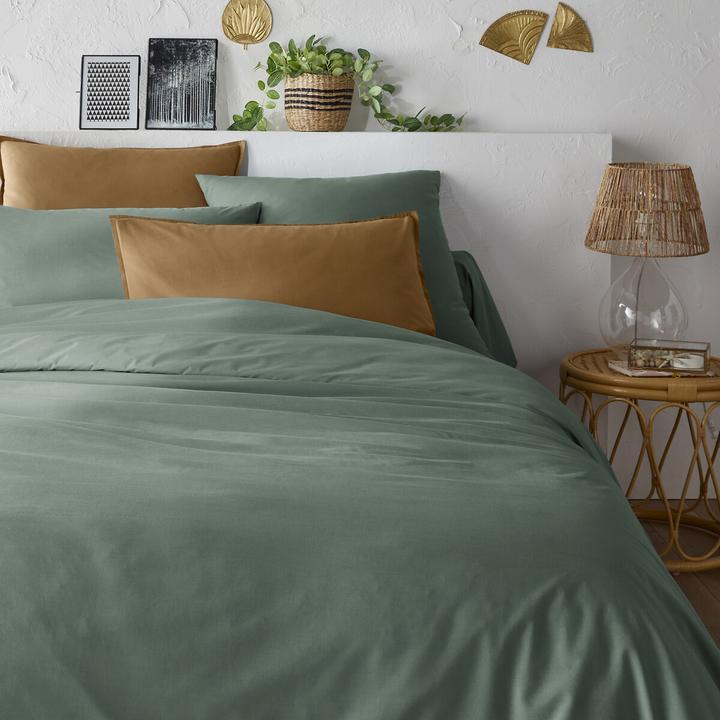 Eucalyptus vert