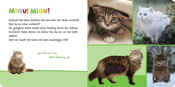 Produktbild Hör mal rein, wer kann das sein? - Kuschelige Tiere (Deutsch)