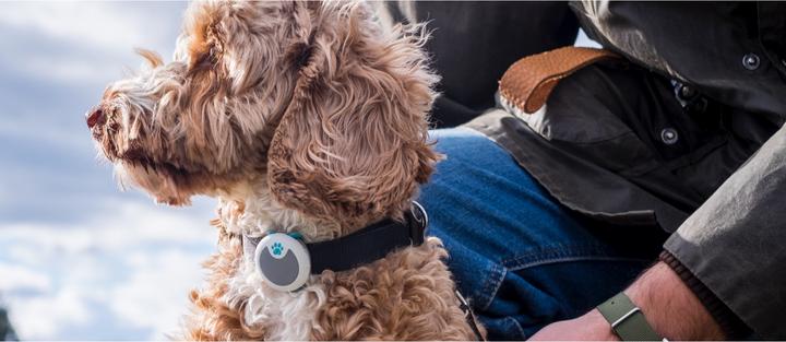 Actual product image Sure PetCare Animo (One size, Dog, General)