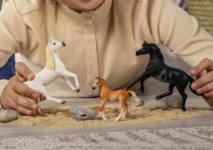 Actual product image Schleich Arabian foal