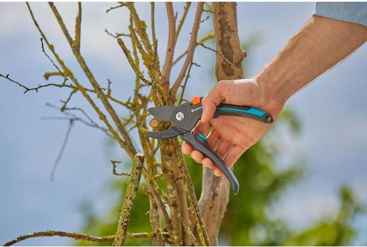 Immagine prodotto Gardena Cesoie da giardino PremiumCut Pro Legno secco