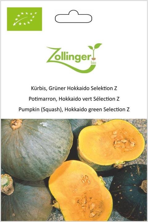 Zollinger Bio Kürbis, Grüner Hokkaido Selektion Z (Keimlinge)