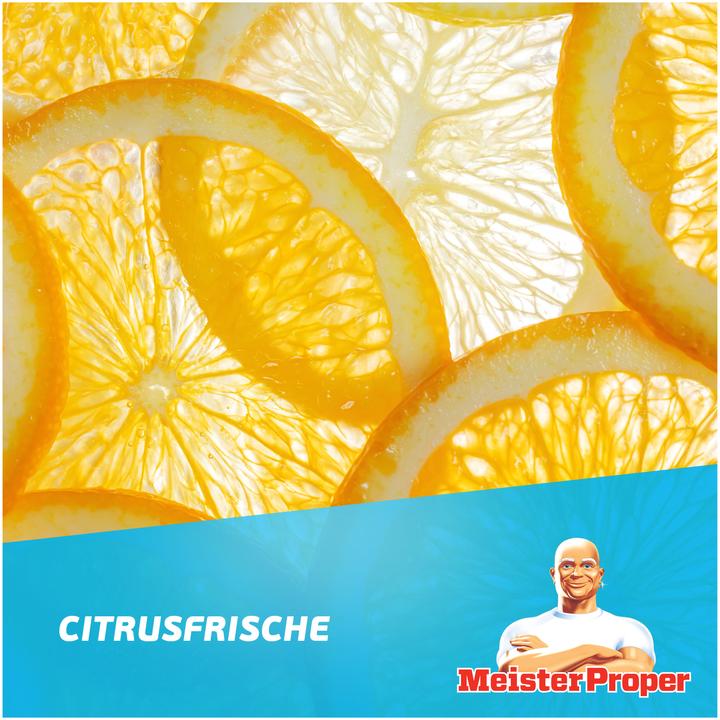 Actual product image Meister Proper Spray-Wipe-Finish