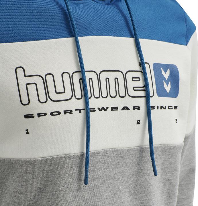 Actual product image hummel Legacy Musa Hoodie (S)
