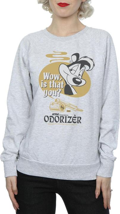 Produktbild Looney Tunes Odorizer Sweatshirt (L)