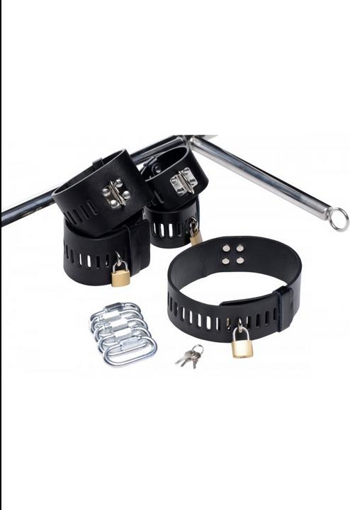Actual product image Master Series Floor pillory