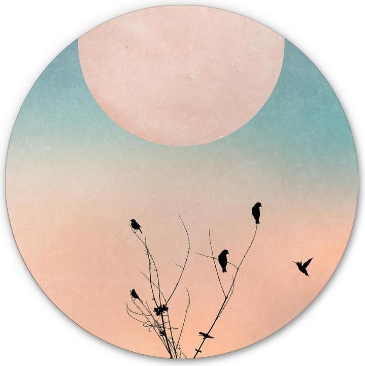 Immagine prodotto Trenddeko Immagine - Mattina calda (70 x 70 cm)