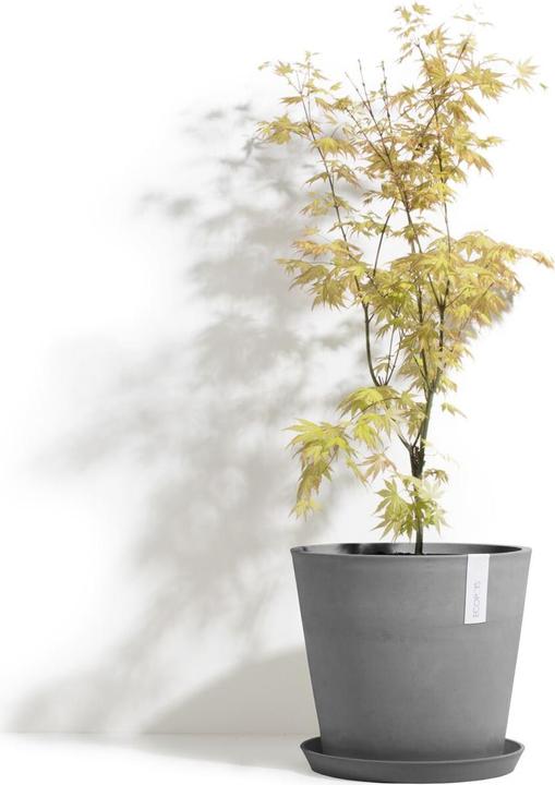 Produktbild Ecopots Amsterdam (50 cm)