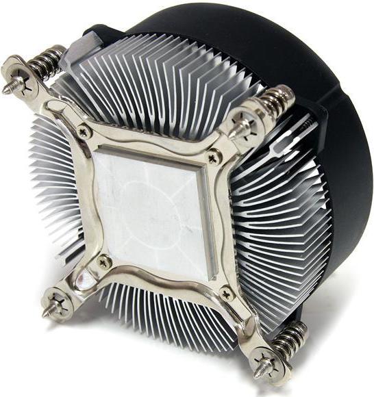 Image du produit StarTech PWM CPU COOLER LGA1156/1155 (45 mm)