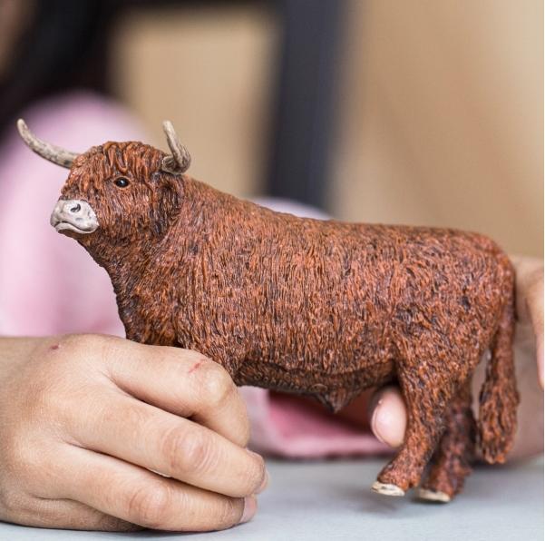 Produktbild Schleich FARM WORLD Highland Bulle