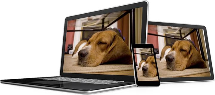 Produktbild Kerbl EYENIMAL Pet Vision Live HD Überwachungskamera