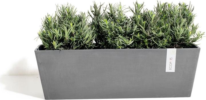 Actual product image Ecopots Bruges (55 cm)