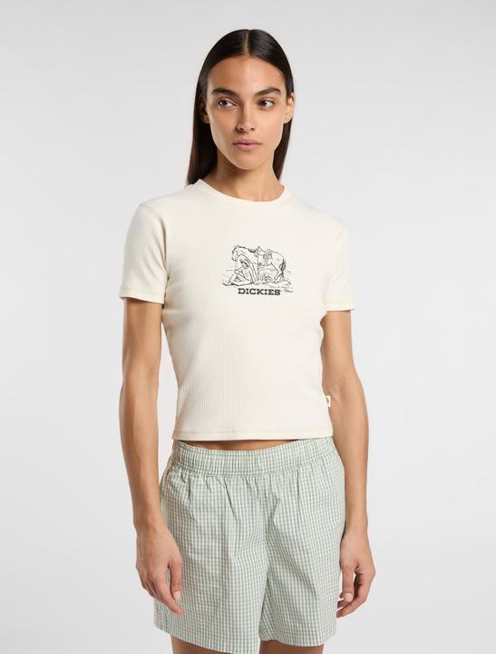 Immagine prodotto Dickies Companion Center Logo Ss Tee W Whitecap Gray (XS)
