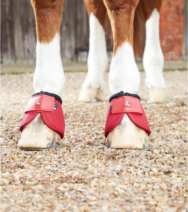 Image du produit Premier Equine Ballistic