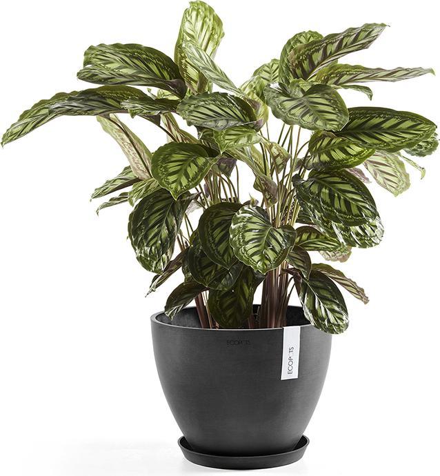 Image du produit Ecopots Saucière ronde
