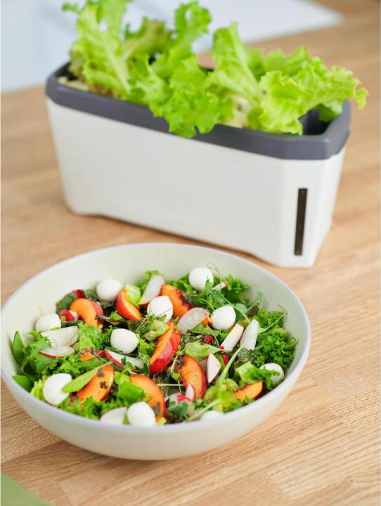 Actual product image Gusta Garden Kräutertopf HARRY HERBS mit Haube, Weiss (35.80 cm)