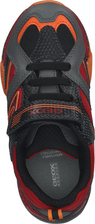 Actual product image Geox Sneaker (31)