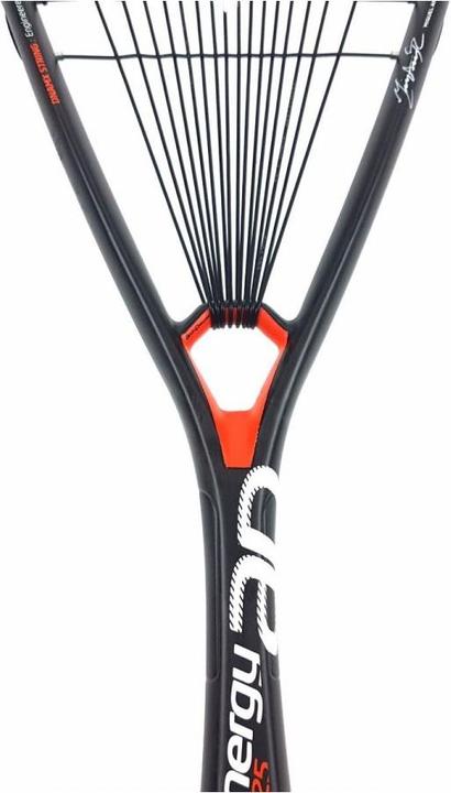 Image du produit Tecnifibre Dynergy AP 125