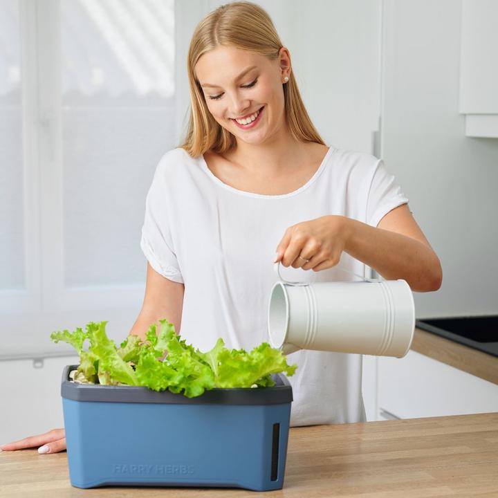 Actual product image Gusta Garden Kräutertopf HARRY HERBS mit Haube, Weiss (35.80 cm)
