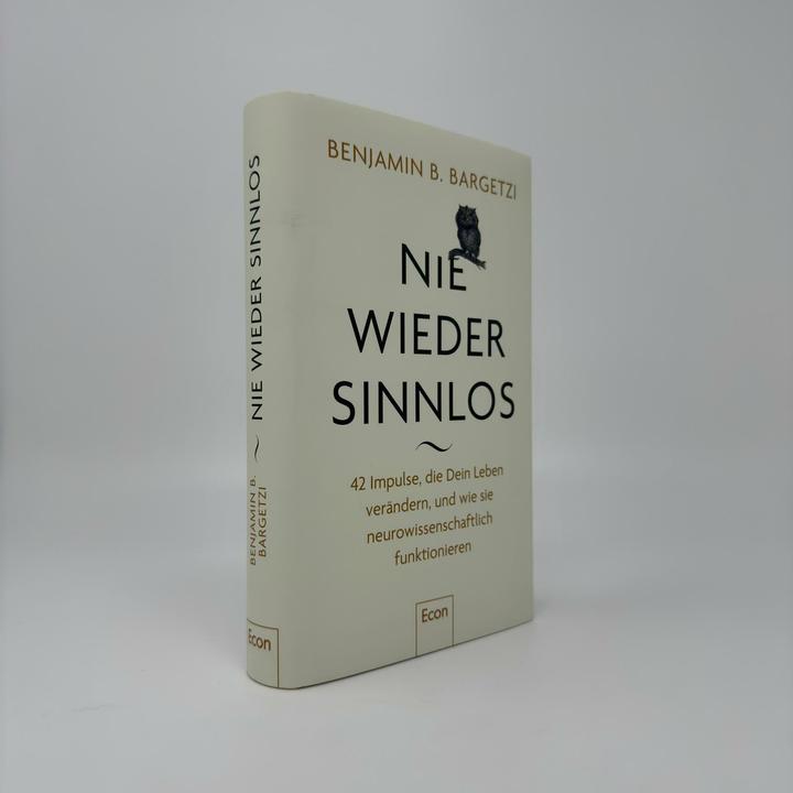 Actual product image Nie wieder sinnlos (German, Benjamin B. Bargetzi, 2025)