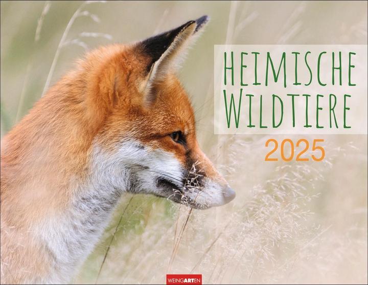 Produktbild Heimische Wildtiere Kalender 2025 (Deutsch)