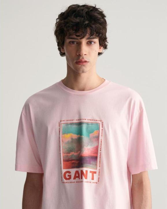 Produktbild GANT t-hirt wahed graphic (S)