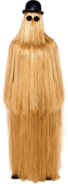 Image du produit Smiffys Cousin Itt (Taille unique)