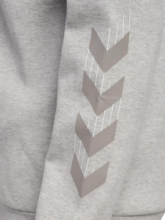 Actual product image hummel Hmltravel Zip Hoodie (M)