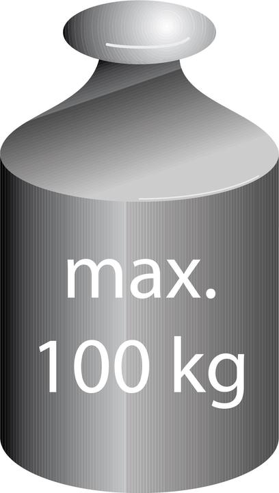Immagine prodotto Ridder Comfort Bad-Hocker (100 kg)