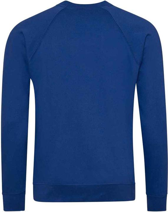 Immagine prodotto Awdis Academy Felpa Raglan Bambini (M)