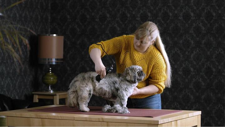 Image du produit Moser max45 (Chien)