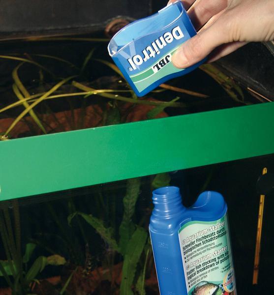 Actual product image JBL Aquaristik und Terraristik Denitrol, 100 ml, F (Water treatment aquarium)