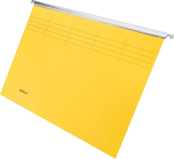 Actual product image Biella Suspension file (A4, 1 x)