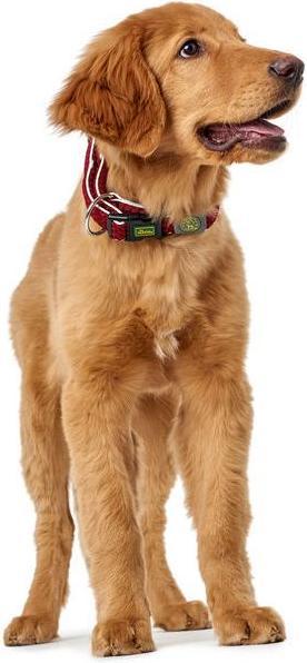 Actual product image Hunter Dog collar Hilo Vario Plus (XL, Dog, Dog sport)