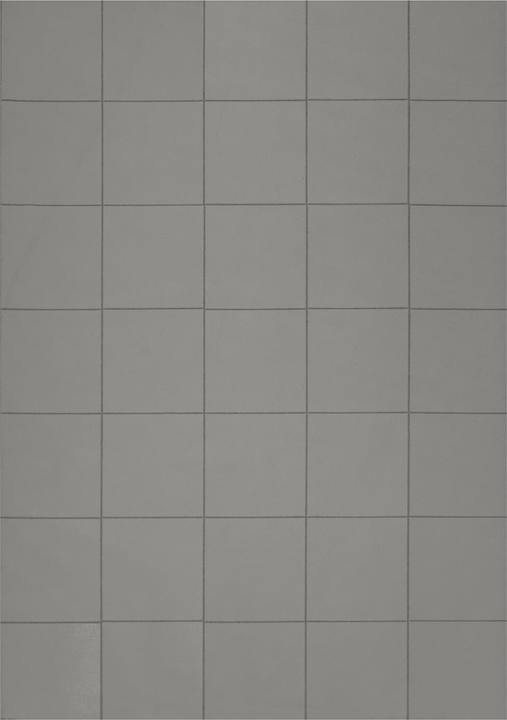 Productafbeelding Magnetoplan Takkis (60 x)