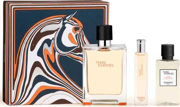 Immagine prodotto Hermès Herms Terre D'Herms Parfum 100 ml + Parfum 15 ml + AS 40 ml (Herren)