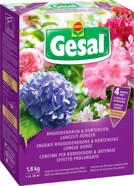 Actual product image Gesal Engrais rhododendrons et hortensias - longue durée (1.80 kg, 1.80 l)