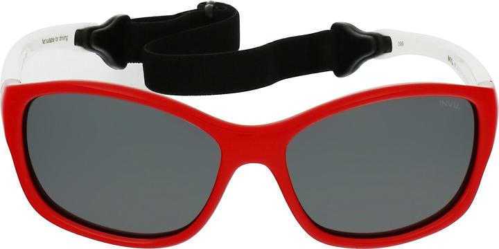 Actual product image Invu Inquirer (1-3)