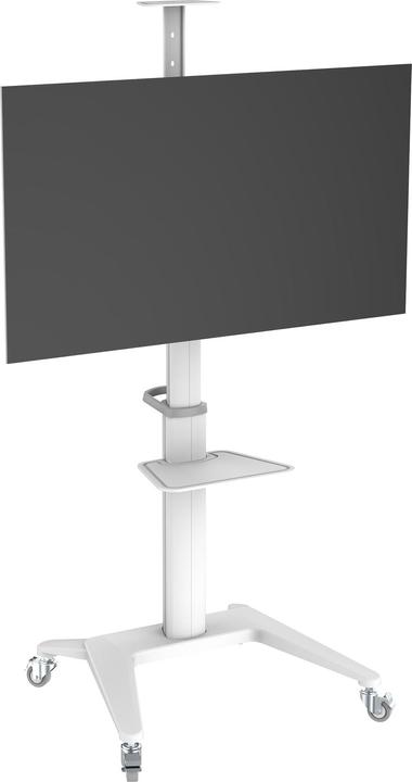 Image du produit PureMounts Chariot TV PDS-0003C DS, blanc (Universel, 70", 70 kg)
