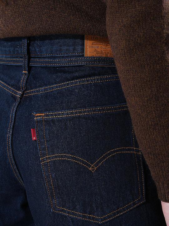 Image du produit Levis A870100070 (W31/L31)