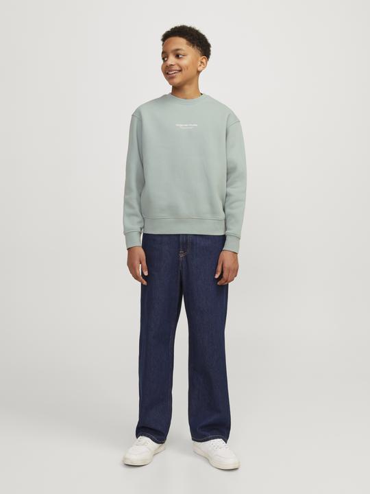 Immagine prodotto Jack & Jones Jorvesterbro Sweat Crew Neck Bn Mni (122)