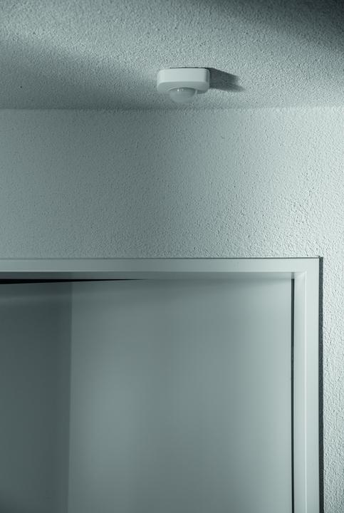 Actual product image Steffen Quad (16 m)