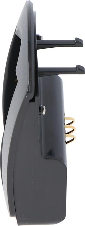 Actual product image AccuCell Quick charger suitable for Fujifilm NP-95, Fuji FinePix F30 (Charger)