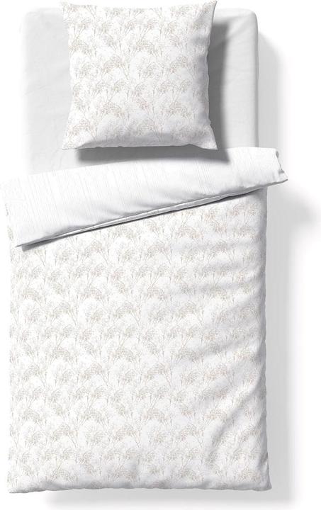 Actual product image Fleuresse Mako-Satin Bettwäsche Modern Garden Rochester beige (Bedding set, 155x220 cm + 80x80 cm)