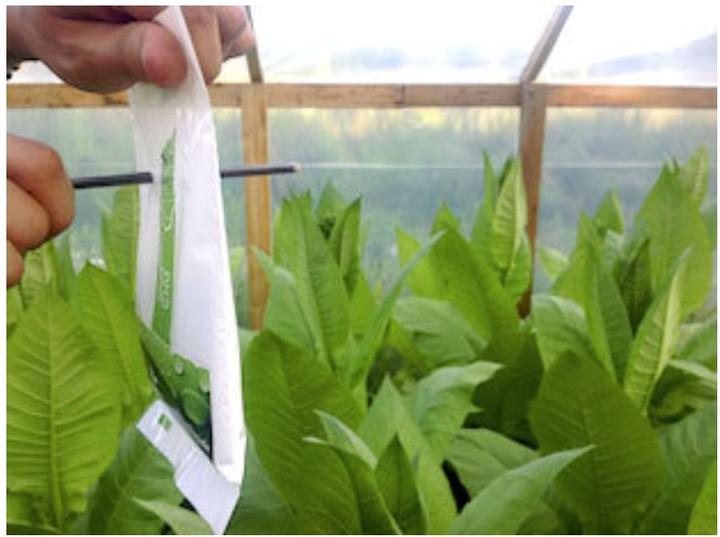 Image du produit CO2 Bag Le cultivateur de sacs